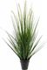 Emerald Emerald Sztuczna trawa ozdobna, wyczyniec w doniczce 70 cm 1