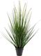 Emerald Emerald Sztuczna trawa ozdobna, wyczyniec w doniczce 70 cm 2