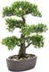 Emerald Emerald Sztuczny fikus bonsai w brązowej donicy, 43 cm 1