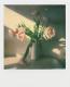 Impossible Film I-Type, Kolorowy (4520) 2