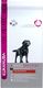 Eukanuba Eukanuba adult labrador retriever 12kg + niespodzianka dla psa GRATIS! 2
