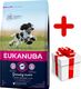 Eukanuba Eukanuba puppy&junior medium breed 15kg + niespodzianka dla psa GRATIS! 1