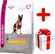 Eukanuba Eukanuba adult german shepherd 12kg + niespodzianka dla psa GRATIS! 1