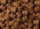 Eukanuba Eukanuba adult german shepherd 12kg + niespodzianka dla psa GRATIS! 2
