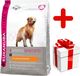 Eukanuba Eukanuba adult golden retriever 12kg + niespodzianka dla psa GRATIS! 1