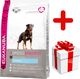 Eukanuba Eukanuba adult rottweiler 12kg +niespodzianka dla psa GRATIS! 1