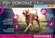 Eukanuba Eukanuba adult large breed lamb&rice 12kg + niespodzianka dla psa GRATIS! 4