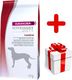 Eukanuba Eukanuba intestinal dog 12kg + niespodzianka dla psa GRATIS! 1