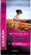 Eukanuba Eukanuba performance working & endurance 15kg + niespodzianka dla psa GRATIS! 4
