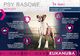 Eukanuba Eukanuba adult boxer 12kg + niespodzianka dla psa GRATIS! 4