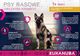 Eukanuba EUKANUBA Adult German Shepherd 2x12kg 2