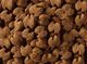 Eukanuba EUKANUBA Adult Labrador Retriever 2x12kg 1