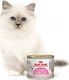 Royal Canin ROYAL CANIN Babycat Instinctive Feline - 12 x 195g puszka 1