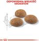 Royal Canin Outdoor 30 20kg 4