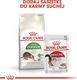 Royal Canin Outdoor 30 20kg 8