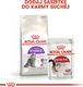 Royal Canin ROYAL CANIN Sensible 33 2x10kg karma sucha dla kotów dorosłych, o wrażliwym przewodzie pokarmowym 8