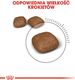 Royal Canin ROYAL CANIN Urinary Care 2x10kg karma sucha dla kotów dorosłych, ochrona dolnych dróg moczowych 8