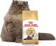 Royal Canin ROYAL CANIN Persian Adult 2x10kg karma sucha dla kotów dorosłych rasy perskiej 2