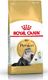 Royal Canin ROYAL CANIN Persian Adult 2x10kg karma sucha dla kotów dorosłych rasy perskiej 3