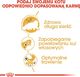 Royal Canin ROYAL CANIN Persian Adult 2x10kg karma sucha dla kotów dorosłych rasy perskiej 7