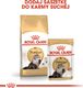 Royal Canin ROYAL CANIN Persian Adult 2x10kg karma sucha dla kotów dorosłych rasy perskiej 8