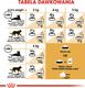 Royal Canin ROYAL CANIN Persian Adult 2x10kg karma sucha dla kotów dorosłych rasy perskiej 9