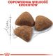 Royal Canin ROYAL CANIN Indoor 27 2x10kg karma sucha dla kotów dorosłych, przebywających wyłącznie w domu 7