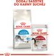 Royal Canin ROYAL CANIN Indoor 27 2x10kg karma sucha dla kotów dorosłych, przebywających wyłącznie w domu 9
