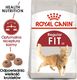 Royal Canin ROYAL CANIN FIT 32 2x10kg karma sucha dla kotów dorosłych, wspierająca idealną kondycję 1