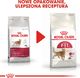 Royal Canin ROYAL CANIN FIT 32 2x10kg karma sucha dla kotów dorosłych, wspierająca idealną kondycję 2