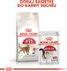Royal Canin ROYAL CANIN FIT 32 2x10kg karma sucha dla kotów dorosłych, wspierająca idealną kondycję 8