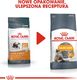 Royal Canin ROYAL CANIN Hair&Skin Care 2x10kg karma sucha dla kotów dorosłych, lśniąca sierść i zdrowa skóra 5