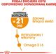 Royal Canin ROYAL CANIN Hair&Skin Care 2x10kg karma sucha dla kotów dorosłych, lśniąca sierść i zdrowa skóra 6