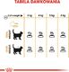 Royal Canin ROYAL CANIN Hair&Skin Care 2x10kg karma sucha dla kotów dorosłych, lśniąca sierść i zdrowa skóra 9