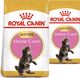 Royal Canin ROYAL CANIN Maine Coon Kitten 2x10kg 1