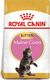 Royal Canin ROYAL CANIN Maine Coon Kitten 2x10kg 6
