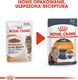 Royal Canin ROYAL CANIN Intense Beauty 24x85g w galaretce karma mokra dla kotów dorosłych, zdrowa skóra, piękna sierść 1
