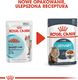 Royal Canin ROYAL CANIN Urinary Care 24x85g karma mokra w sosie dla kotów dorosłych, ochrona dolnych dróg moczowych 2