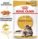 Royal Canin ROYAL CANIN Maine Coon Adult saszetka 24x85g (Sos) 1