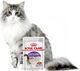 Royal Canin ROYAL CANIN Sterilised 24x85g karma mokra w galaretce dla kotów dorosłych, sterylizowanych 1
