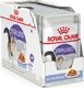 Royal Canin ROYAL CANIN Sterilised 24x85g karma mokra w galaretce dla kotów dorosłych, sterylizowanych 1