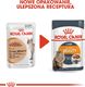 Royal Canin ROYAL CANIN Intense Beauty 24x85g karma mokra w sosie dla kotów dorosłych, zdrowa skóra, piękna sierść 2