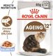 Royal Canin ROYAL CANIN Ageing +12 24x85g karma mokra w galaretce dla kotów dojrzałych 2