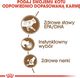 Royal Canin ROYAL CANIN Ageing +12 24x85g karma mokra w galaretce dla kotów dojrzałych 7