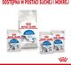 Royal Canin ROYAL CANIN Indoor Sterilised Sos saszetka 12x85g 2