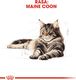 Royal Canin ROYAL CANIN Maine Coon Adult 2x10kg karma sucha dla kotów dorosłych rasy maine coon 4