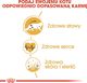 Royal Canin ROYAL CANIN Maine Coon Adult 2x10kg karma sucha dla kotów dorosłych rasy maine coon 6