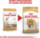 Royal Canin ROYAL CANIN Beagle Adult 12kg karma sucha dla psów dorosłych rasy beagle + niespodzianka dla psa GRATIS! 10
