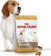 Royal Canin ROYAL CANIN Beagle Adult 12kg karma sucha dla psów dorosłych rasy beagle + niespodzianka dla psa GRATIS! 2