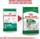 Royal Canin ROYAL CANIN Mini Adult 8kg karma sucha dla psów dorosłych, ras małych + niespodzianka dla psa GRATIS! 2